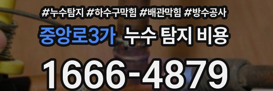 중앙로3가 누수 탐지 비용