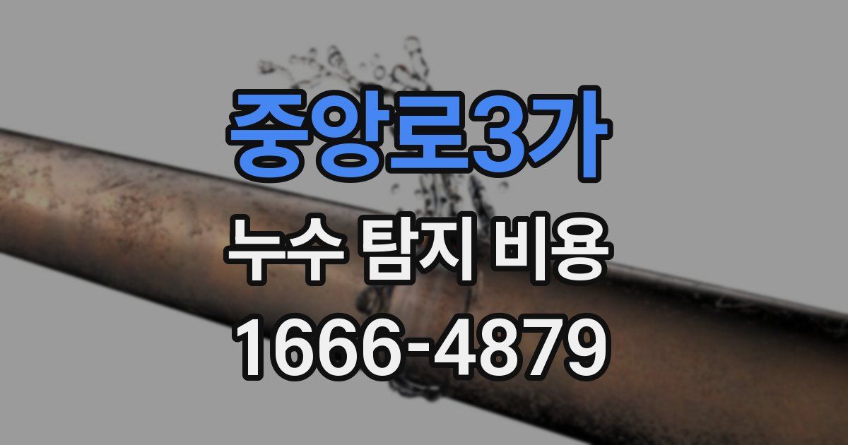 중앙로3가 누수 탐지 비용