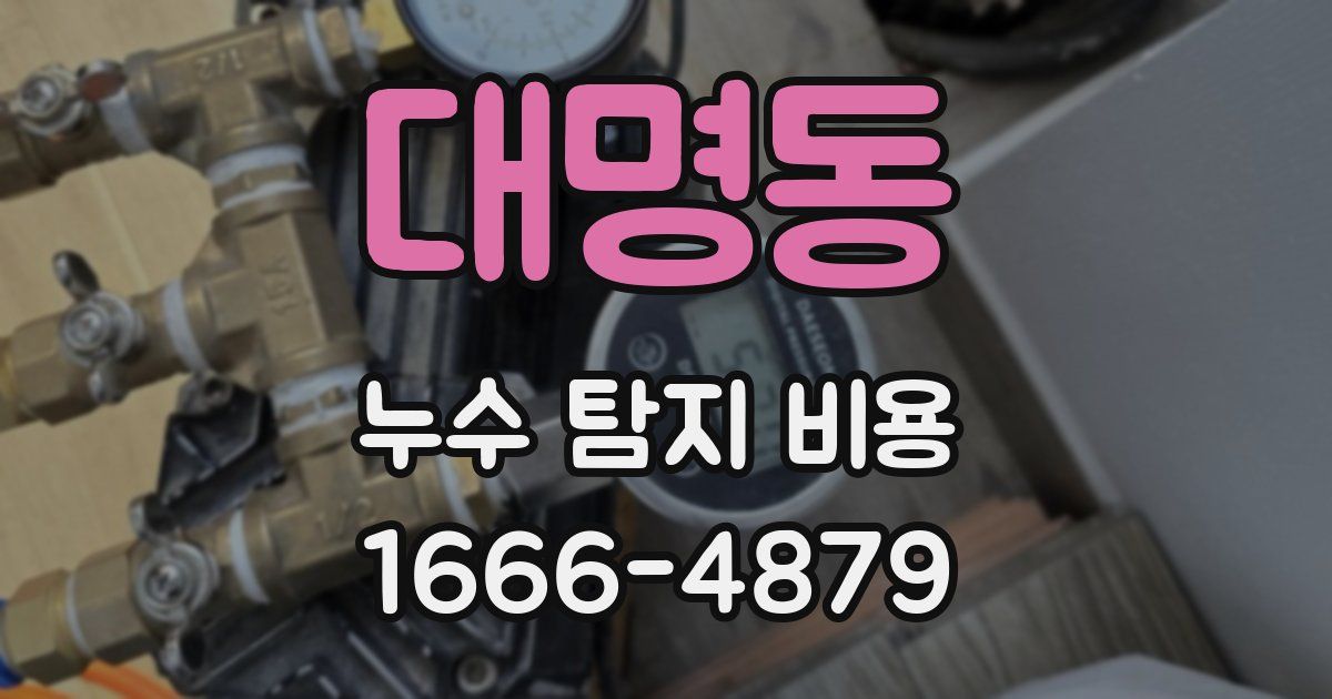 대명동 누수 탐지 비용