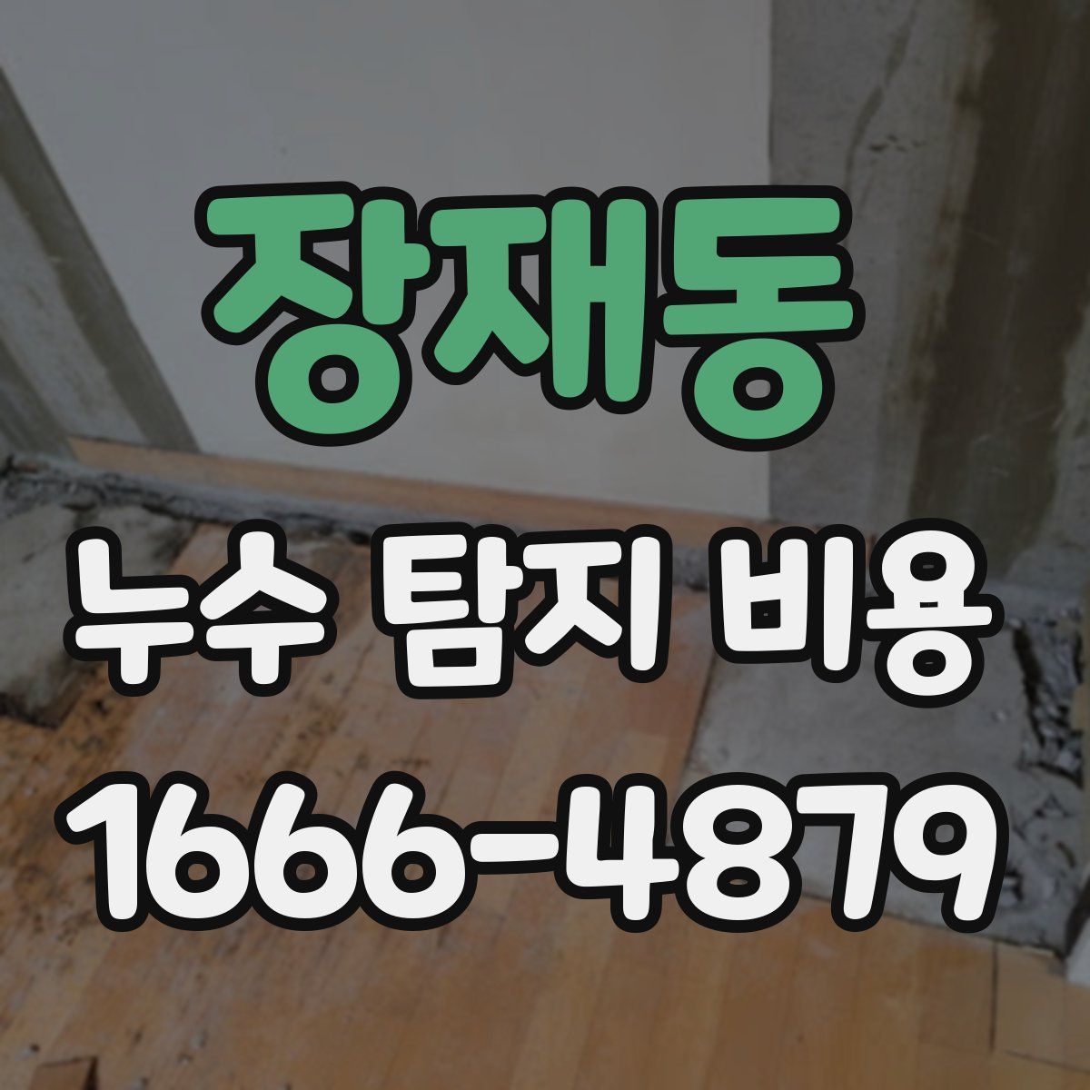 장재동 누수 탐지 비용