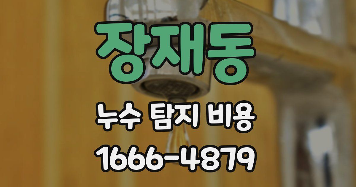장재동 누수 탐지 비용