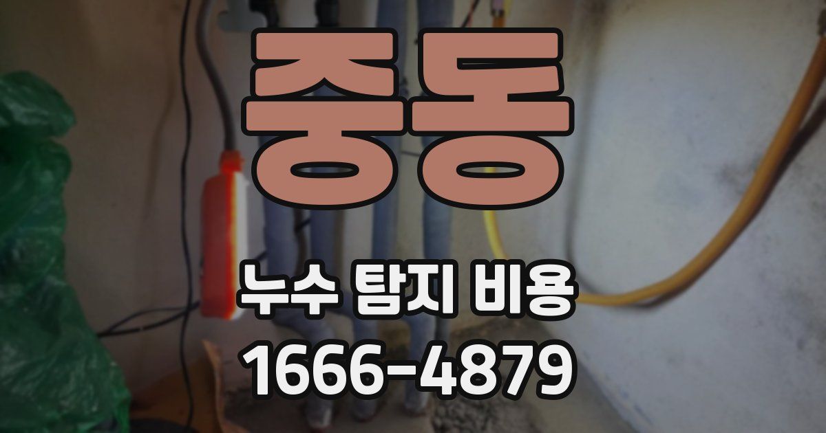 중동 누수 탐지 비용