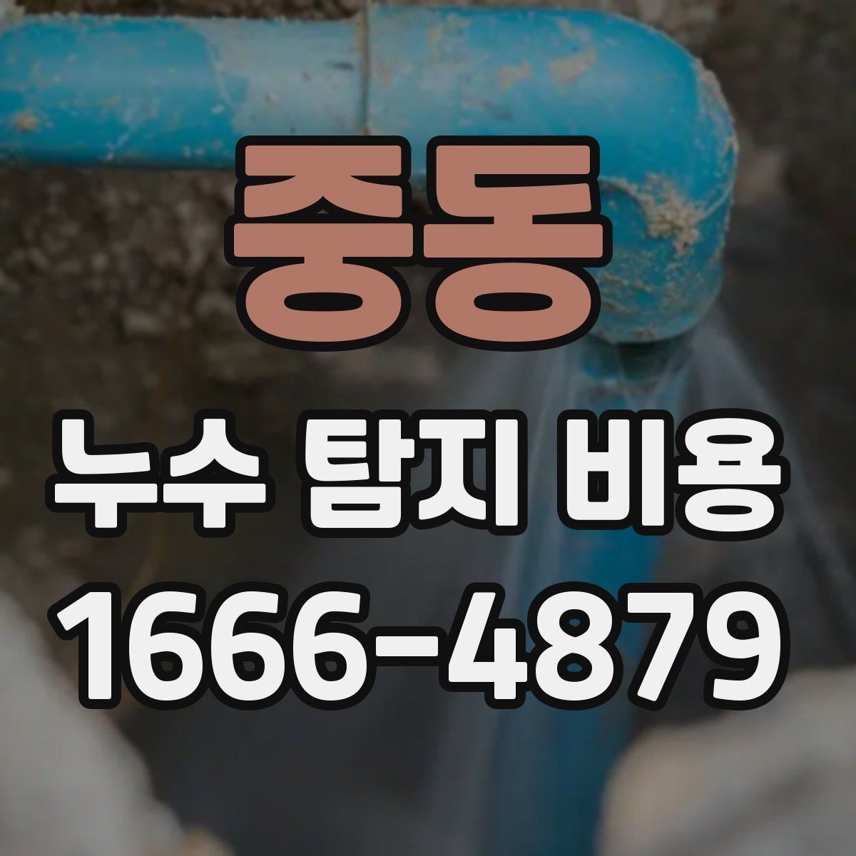 중동 누수 탐지 비용