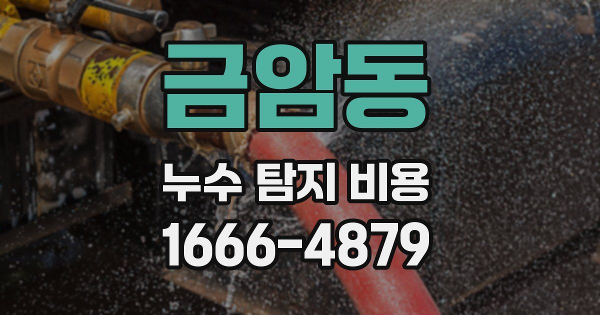 금암동 누수 탐지 비용
