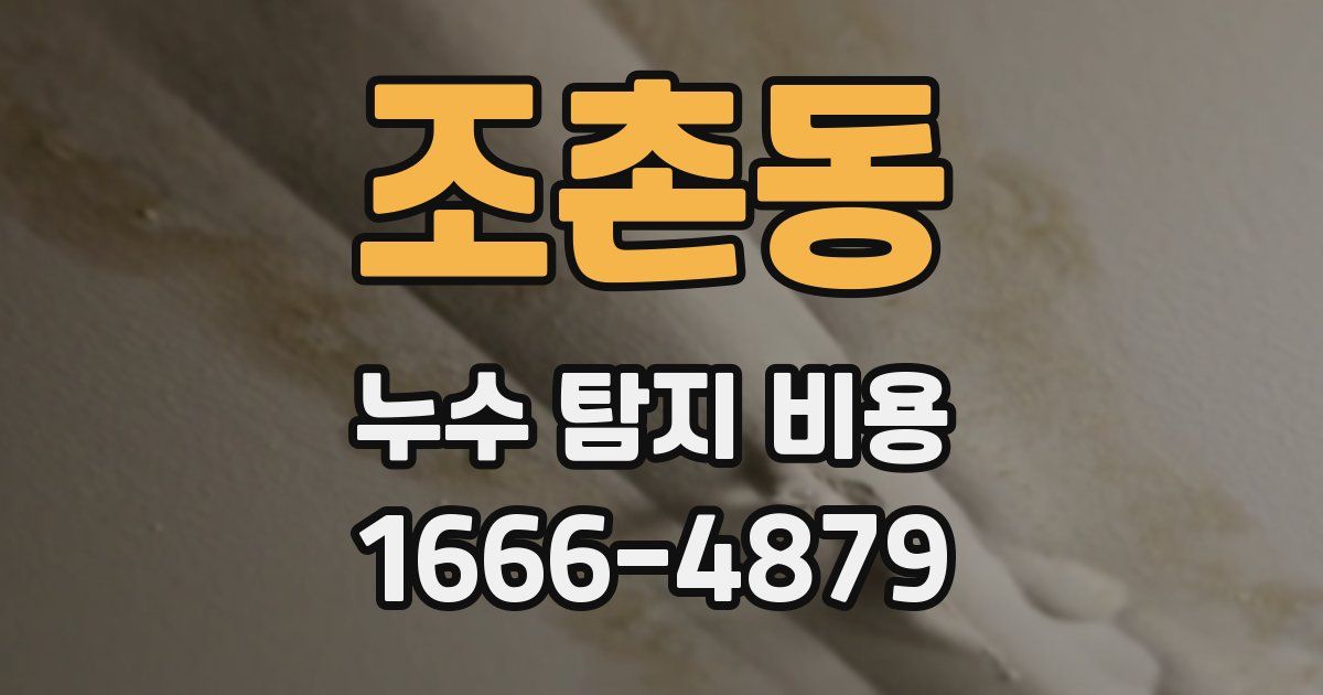 조촌동 누수 탐지 비용