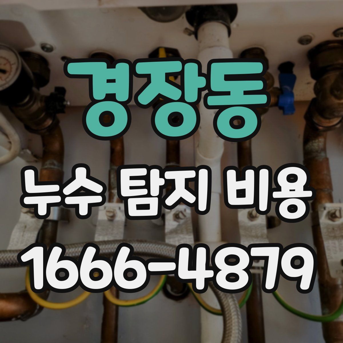 경장동 누수 탐지 비용
