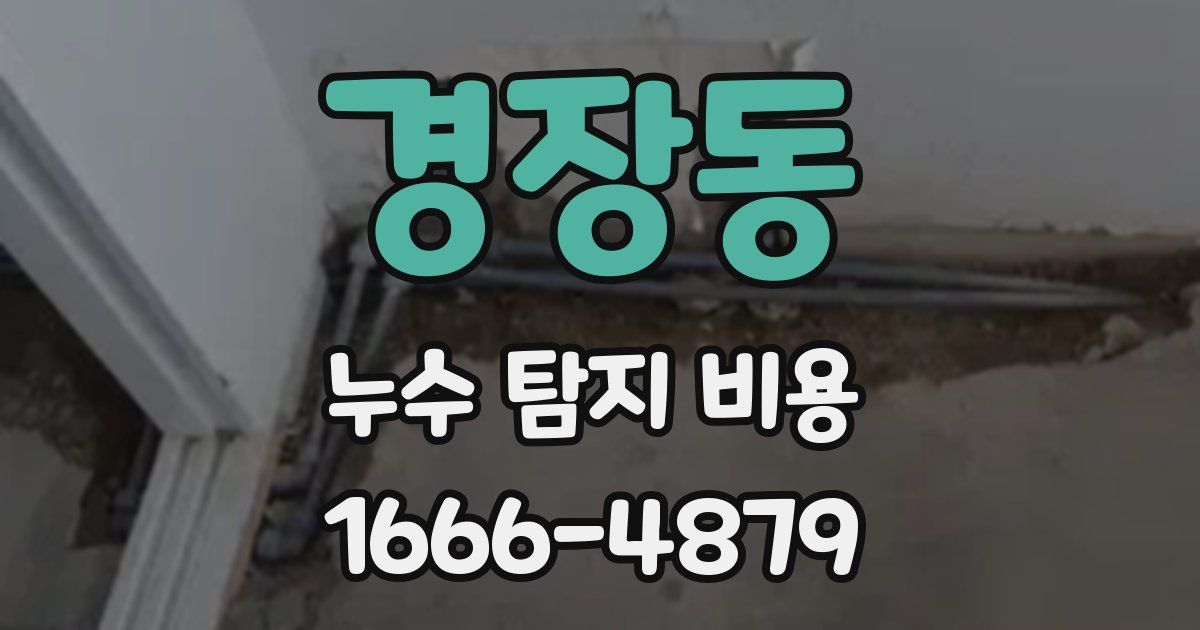 경장동 누수 탐지 비용