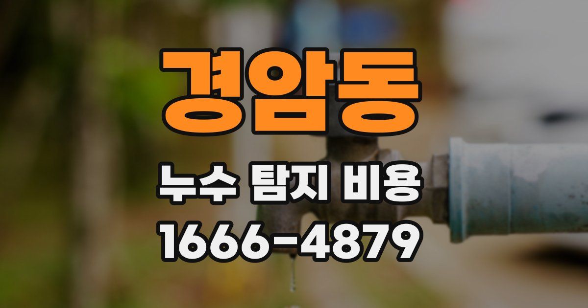 경암동 누수 탐지 비용