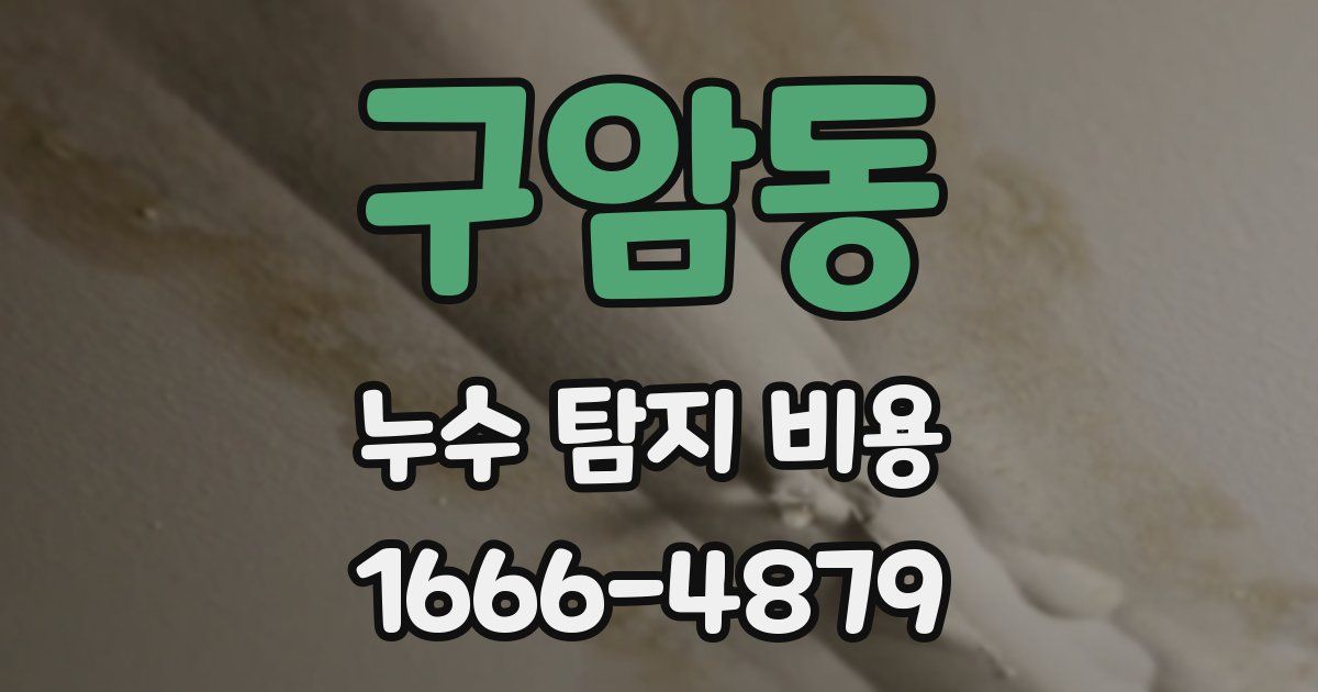 구암동 누수 탐지 비용