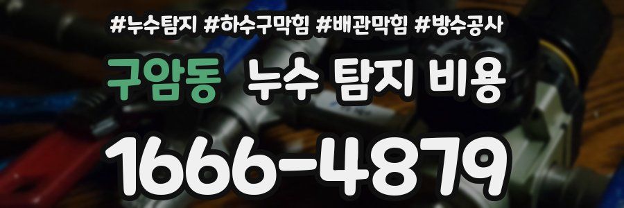구암동 누수 탐지 비용
