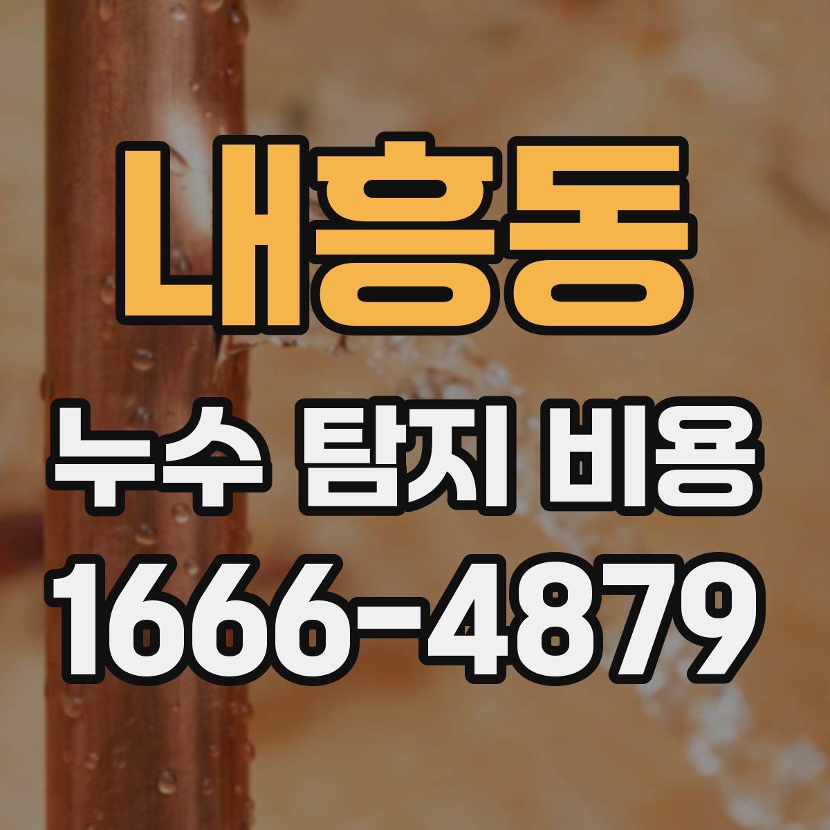 내흥동 누수 탐지 비용