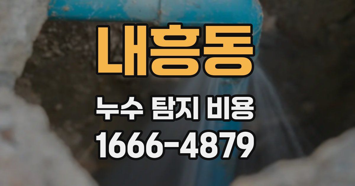 내흥동 누수 탐지 비용