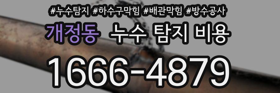 개정동 누수 탐지 비용