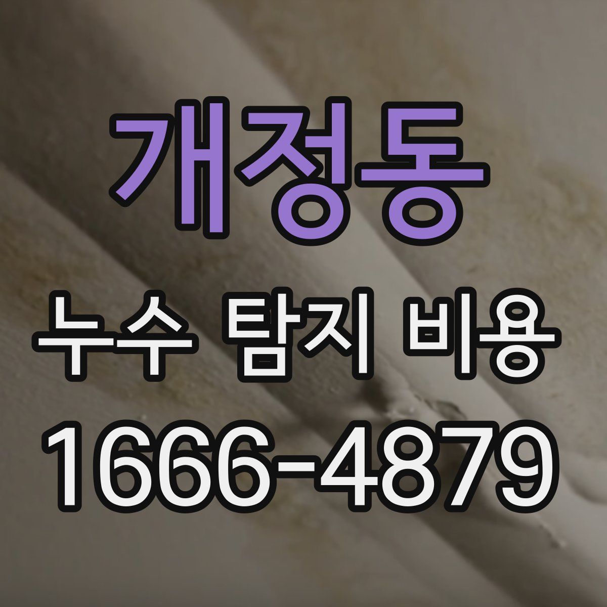 개정동 누수 탐지 비용