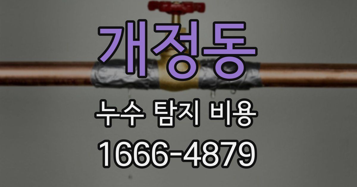 개정동 누수 탐지 비용
