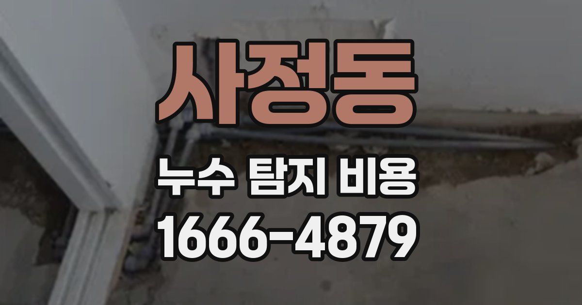 사정동 누수 탐지 비용