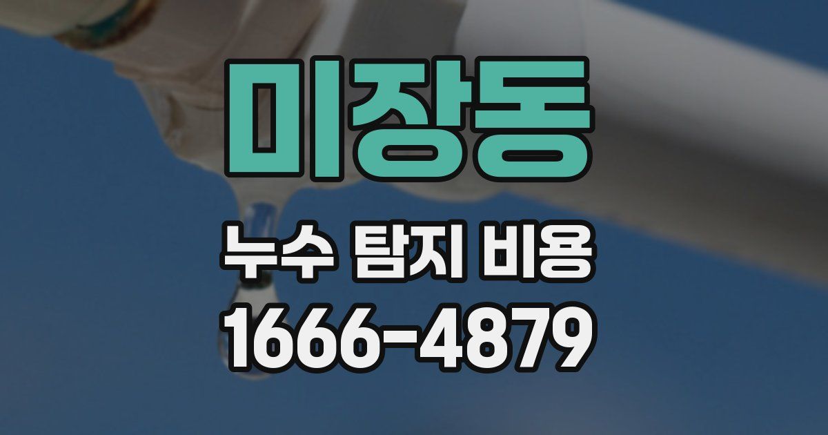미장동 누수 탐지 비용