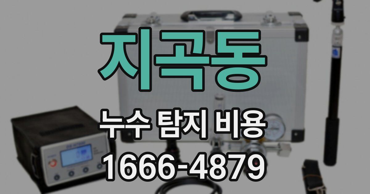지곡동 누수 탐지 비용