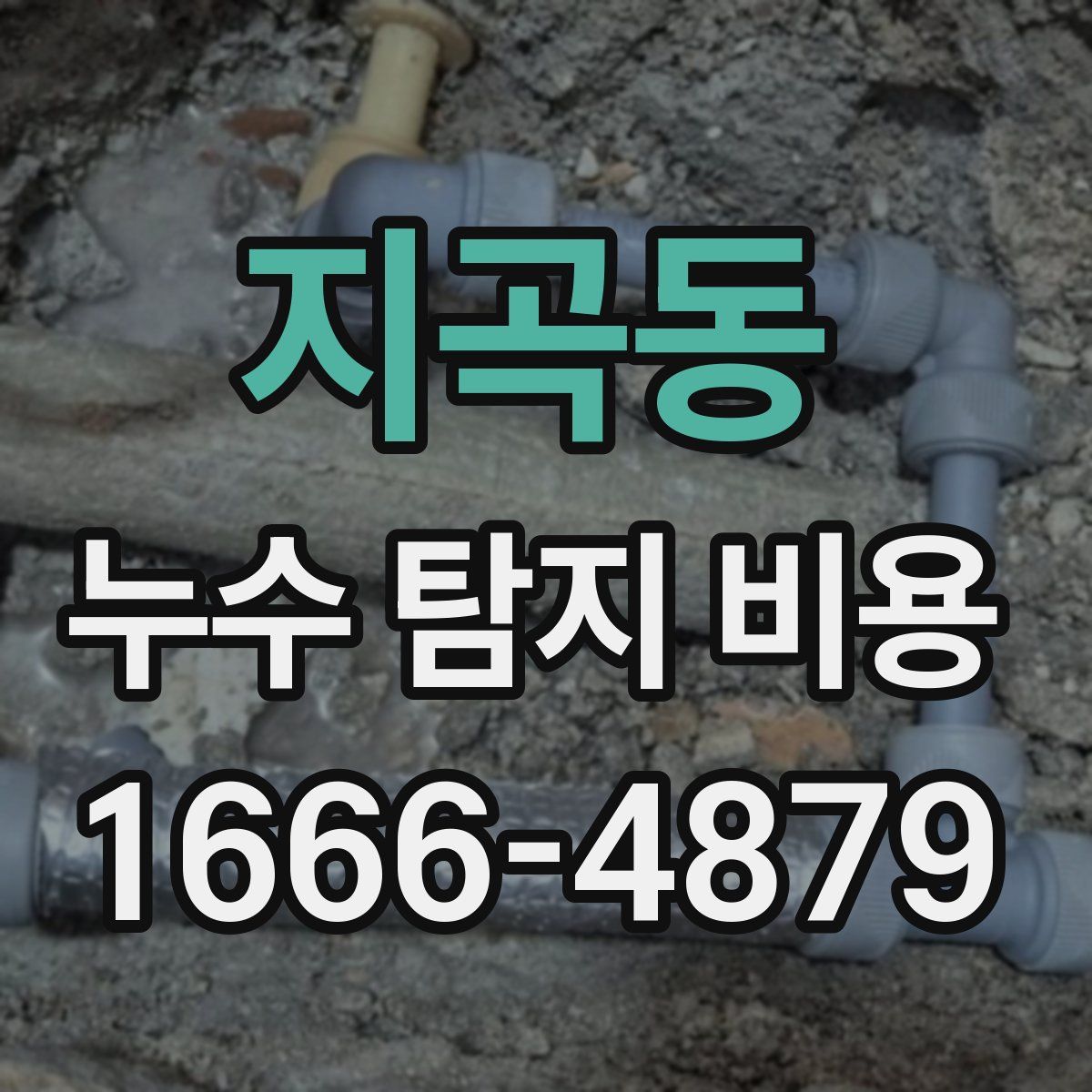 지곡동 누수 탐지 비용
