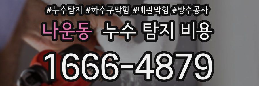 나운동 누수 탐지 비용
