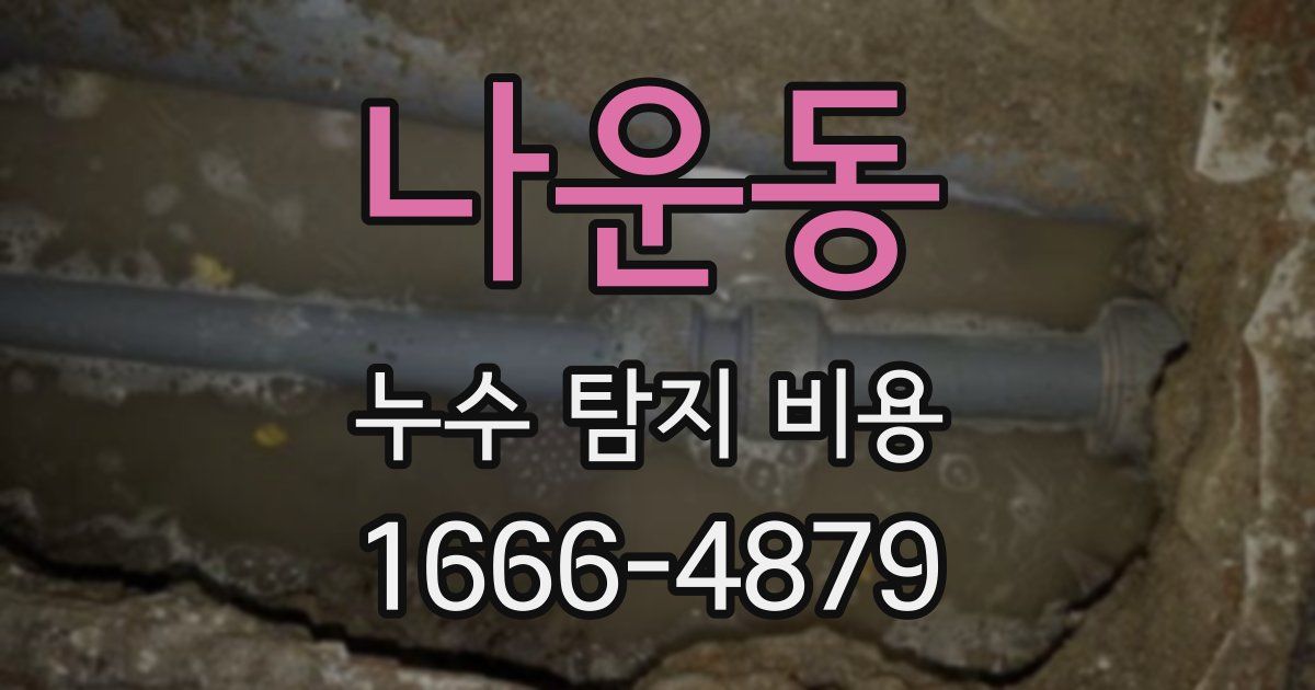 나운동 누수 탐지 비용