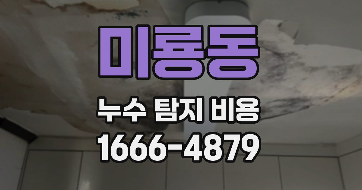 미룡동 누수 탐지 비용