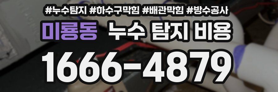 미룡동 누수 탐지 비용