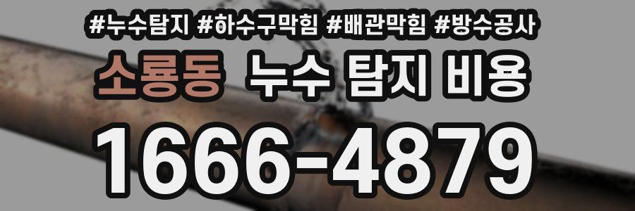 소룡동 누수 탐지 비용