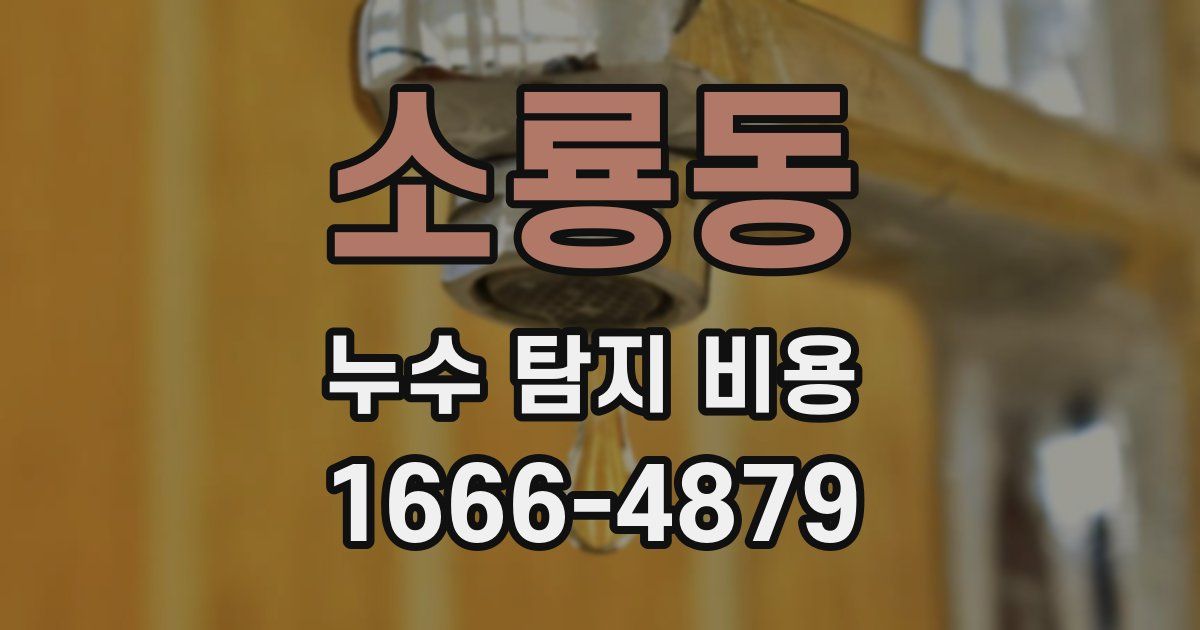 소룡동 누수 탐지 비용