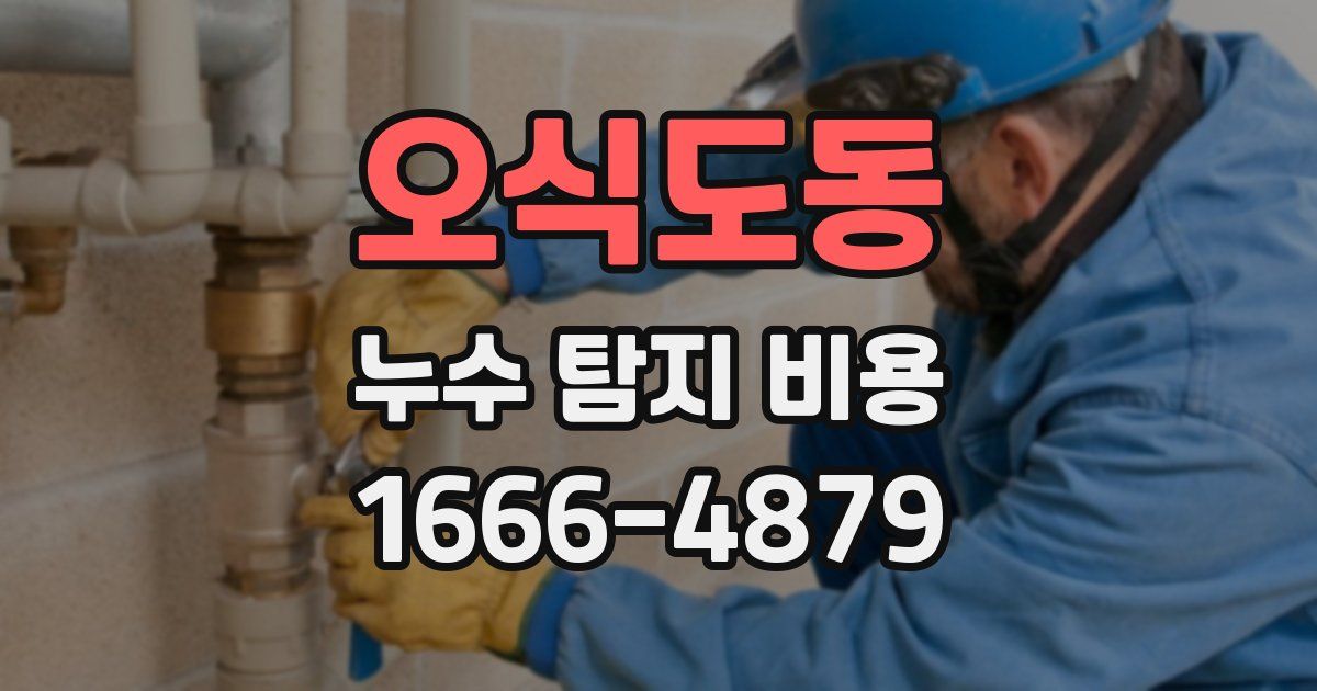오식도동 누수 탐지 비용