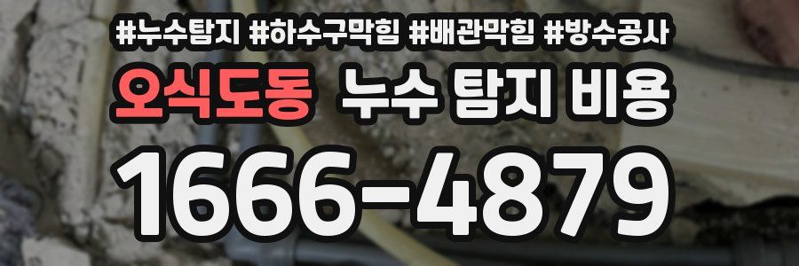 오식도동 누수 탐지 비용