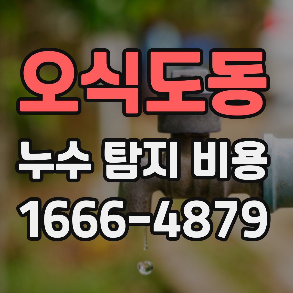 오식도동 누수 탐지 비용