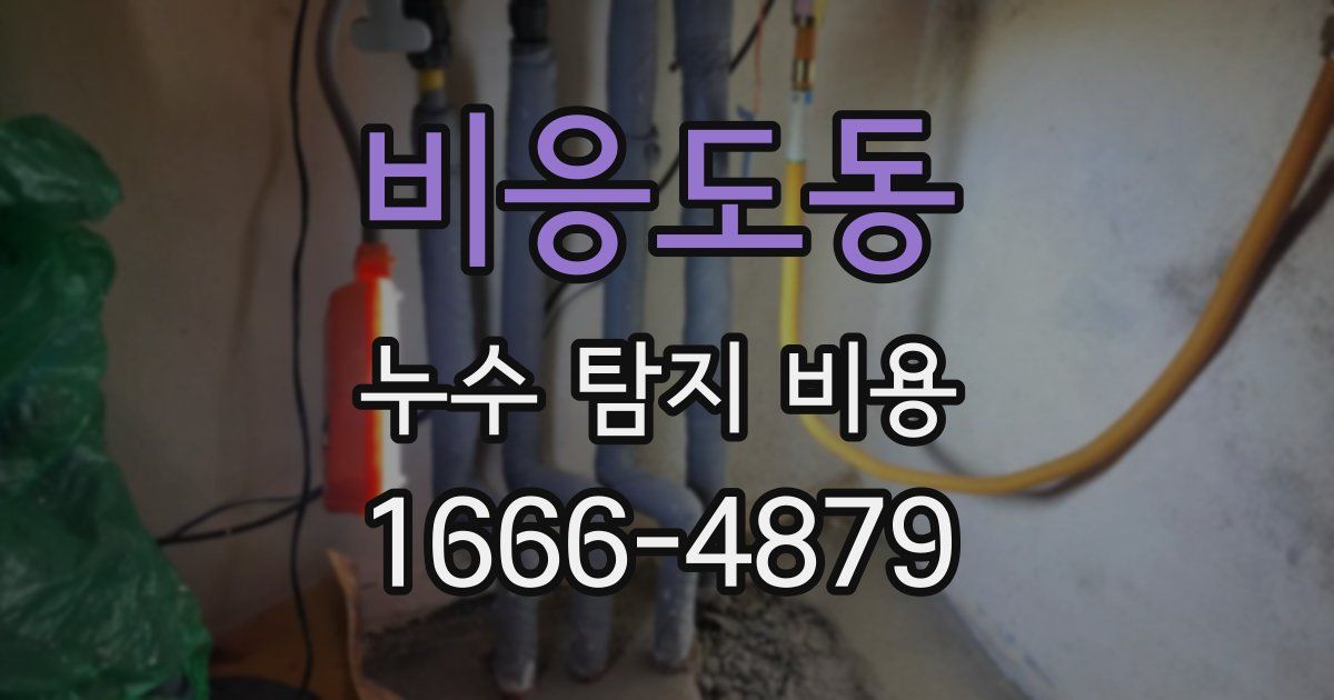 비응도동 누수 탐지 비용