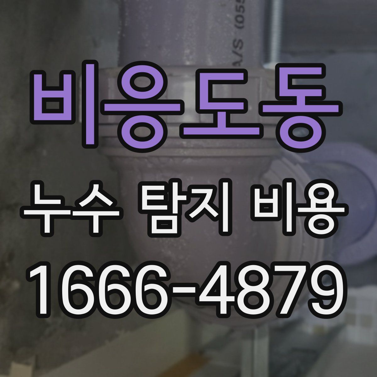 비응도동 누수 탐지 비용