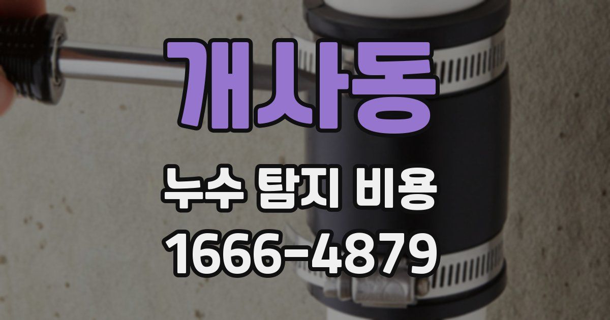 개사동 누수 탐지 비용