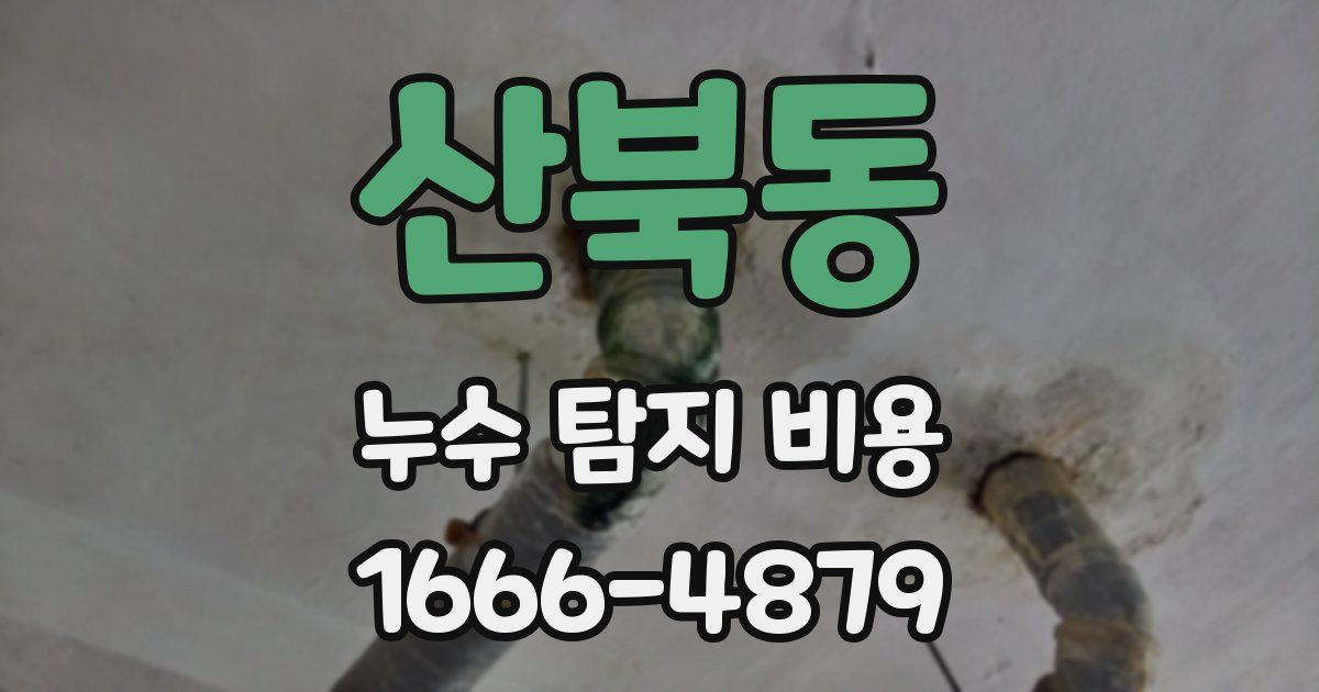 산북동 누수 탐지 비용
