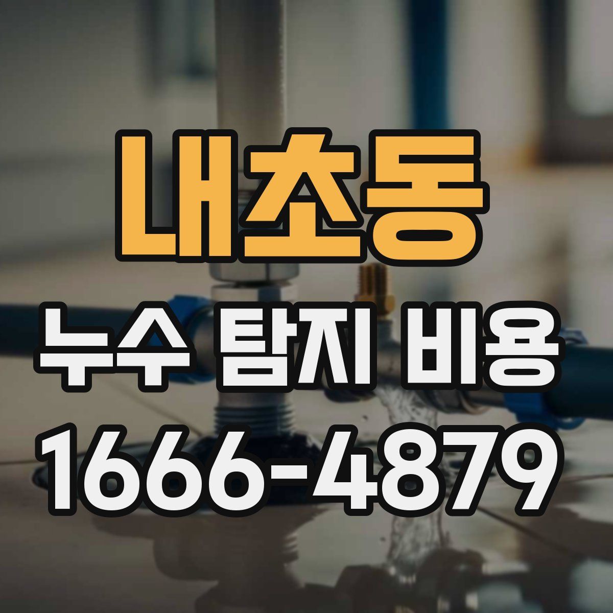 내초동 누수 탐지 비용