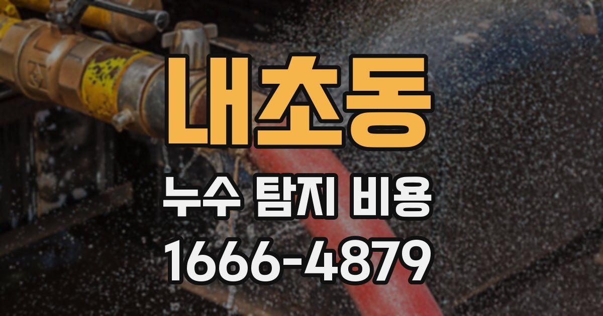 내초동 누수 탐지 비용