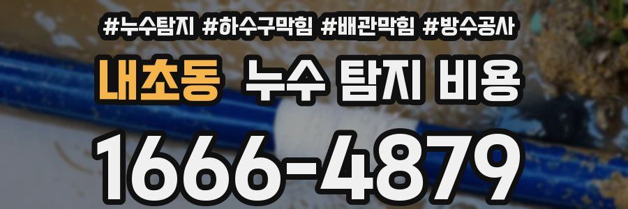 내초동 누수 탐지 비용