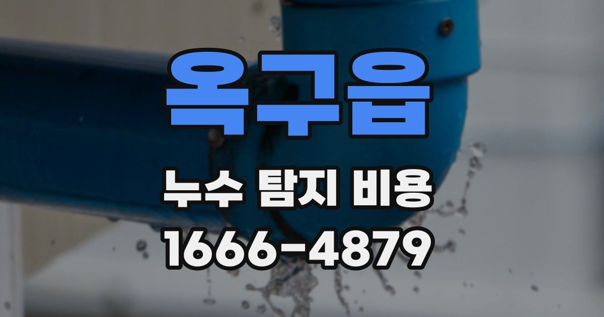 옥구읍 누수 탐지 비용