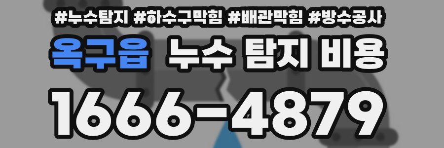 옥구읍 누수 탐지 비용