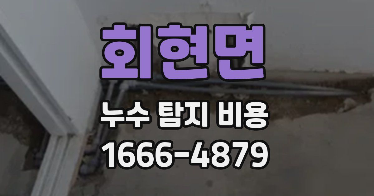 회현면 누수 탐지 비용