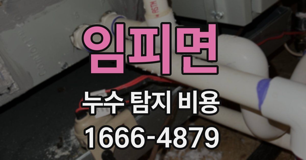 임피면 누수 탐지 비용