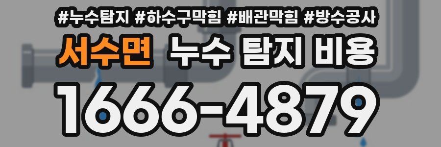 서수면 누수 탐지 비용