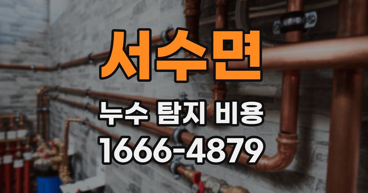 서수면 누수 탐지 비용