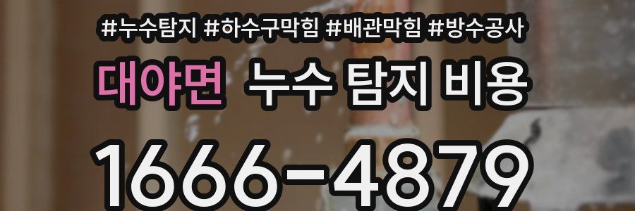 대야면 누수 탐지 비용