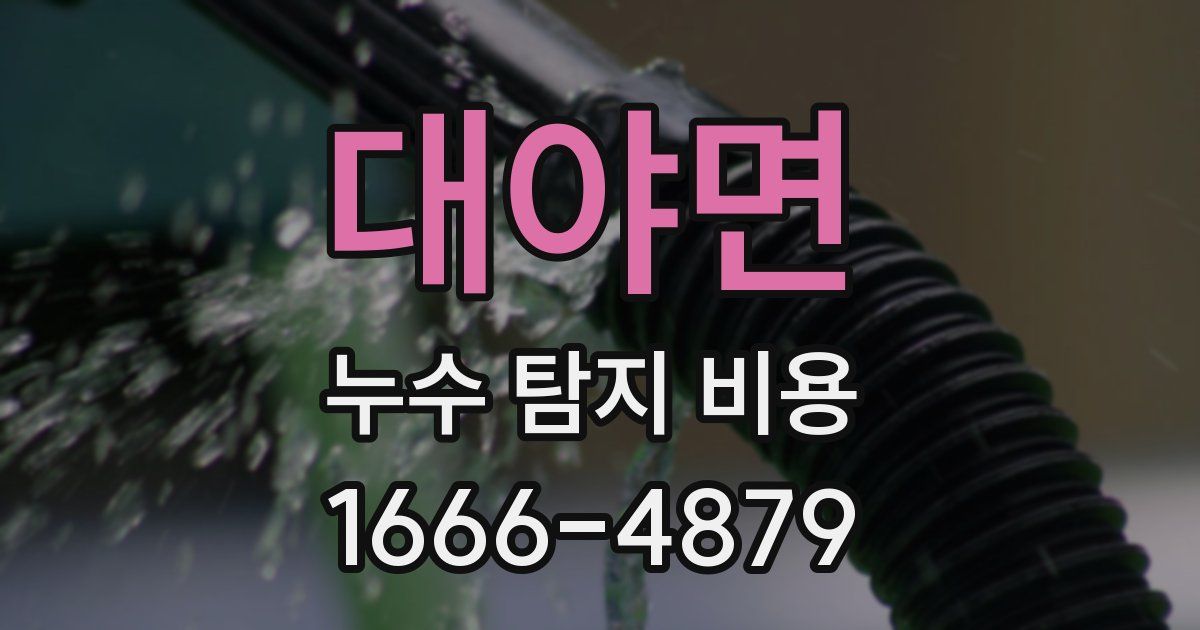 대야면 누수 탐지 비용