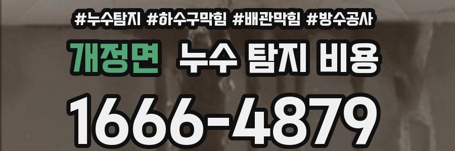 개정면 누수 탐지 비용
