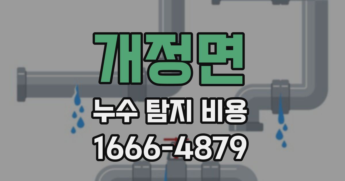 개정면 누수 탐지 비용