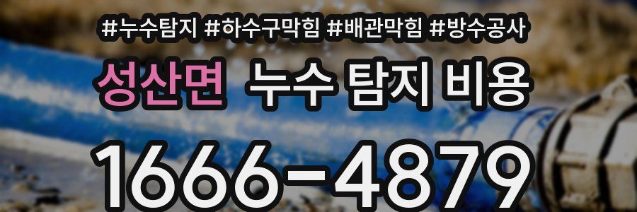성산면 누수 탐지 비용